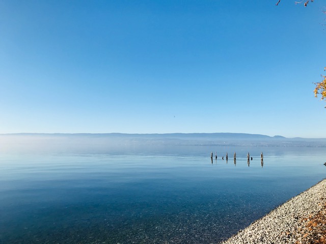 Plage de galets au bord du Léman à Thonon-les-Bains
